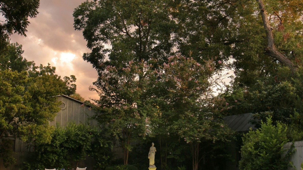 Photo of Outdoor in Arsenal