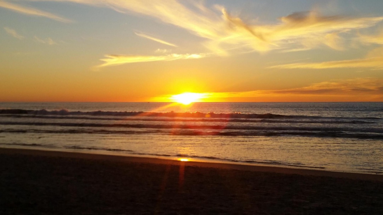 Photo of Others in South Mission Beach