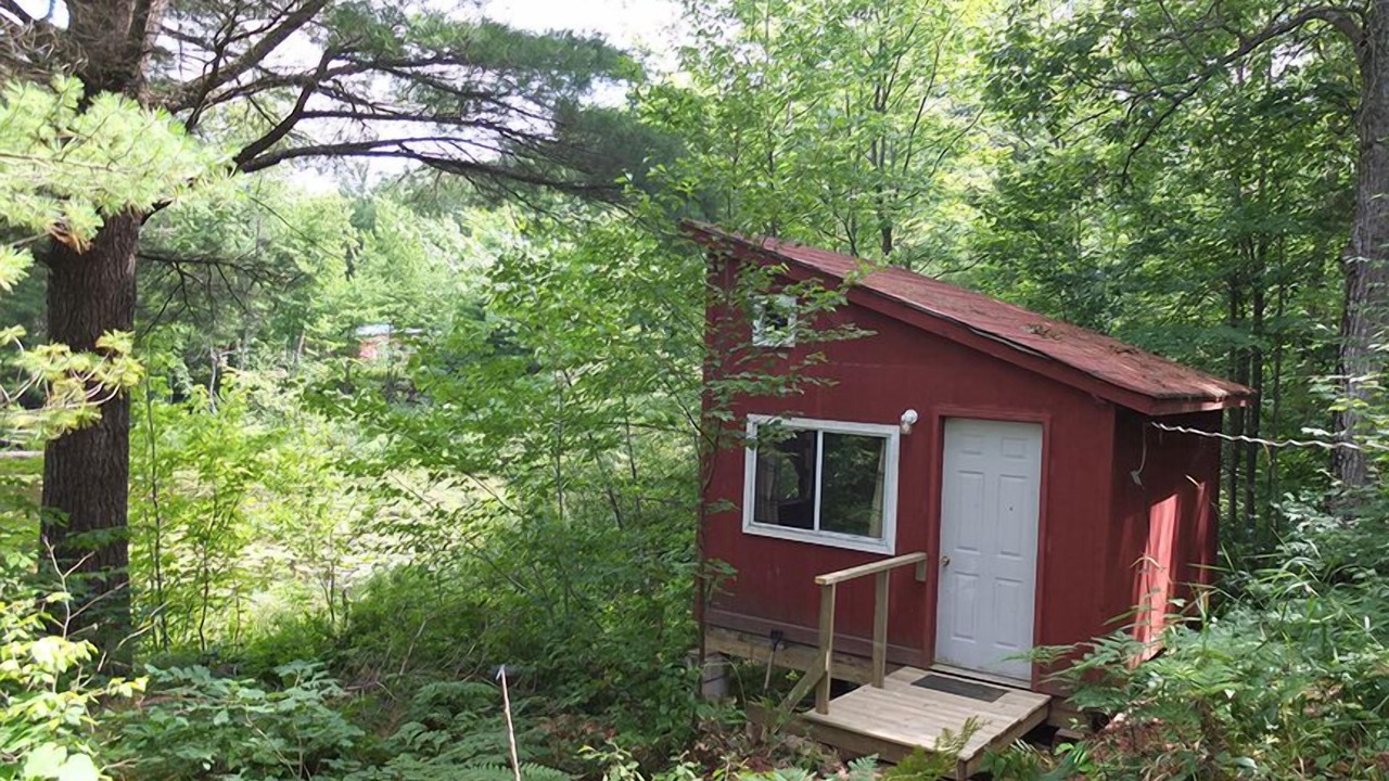 Photo of Outdoor in Severn