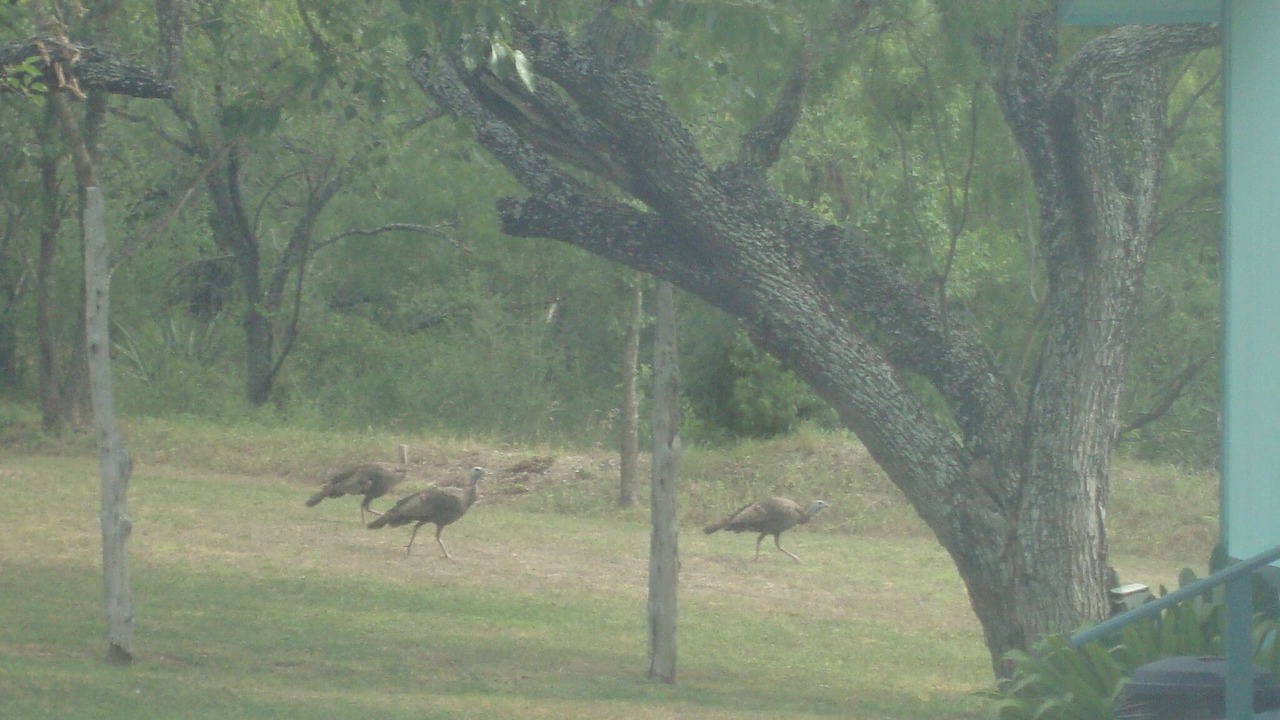Photo of Others in Southside