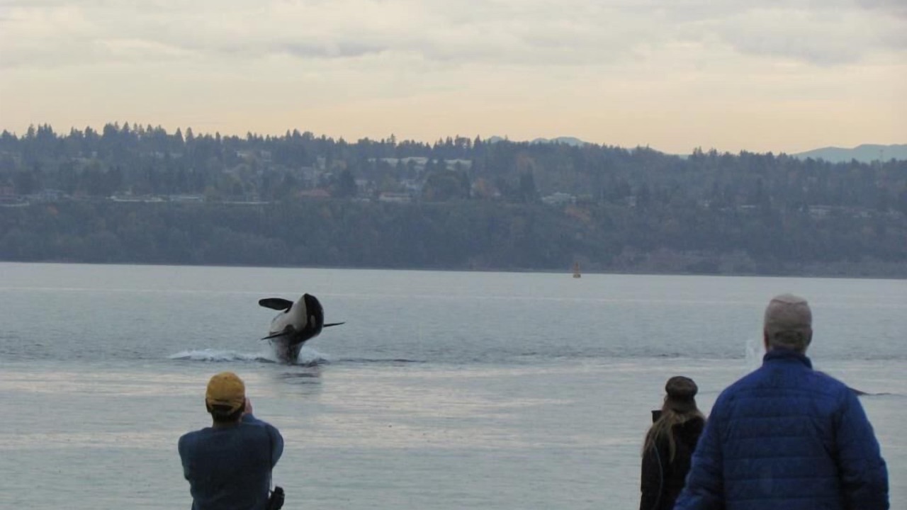 Photo of Others in Vashon Island