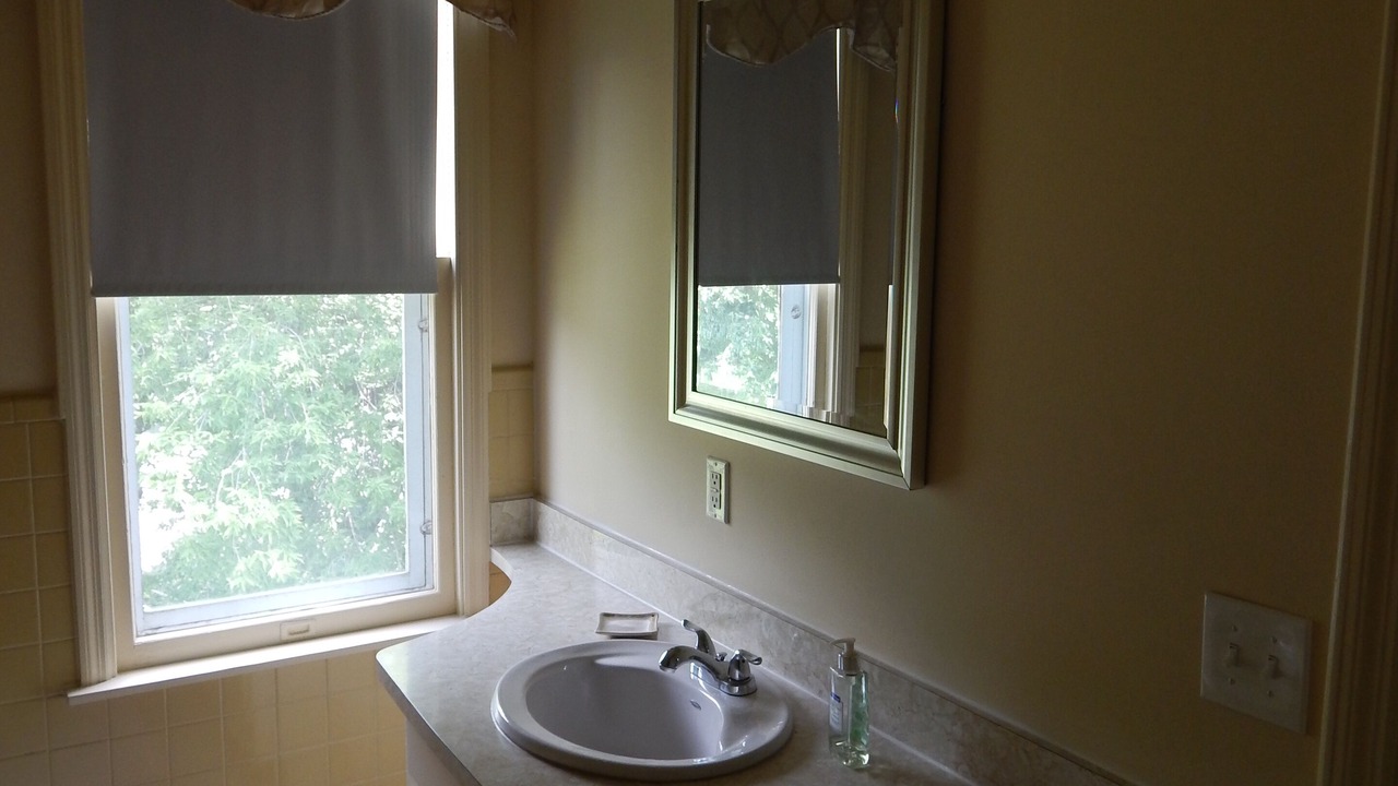 Photo of Bathroom in Saugerties
