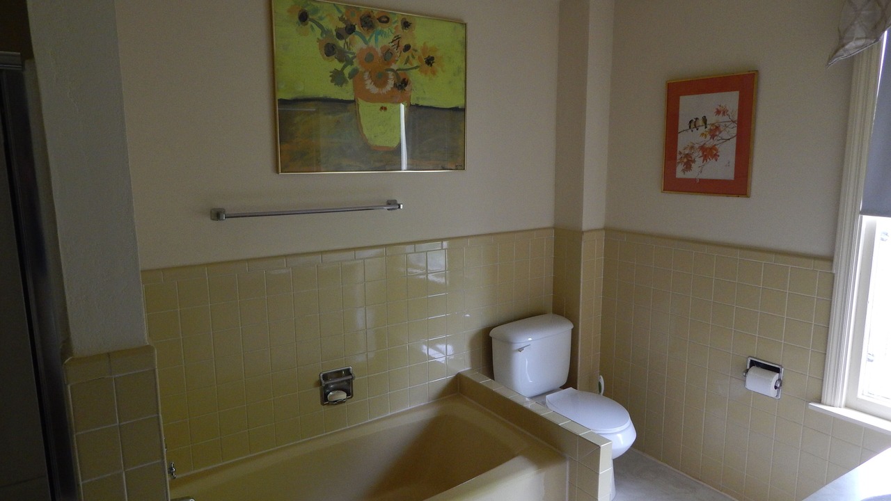 Photo of Bathroom in Saugerties