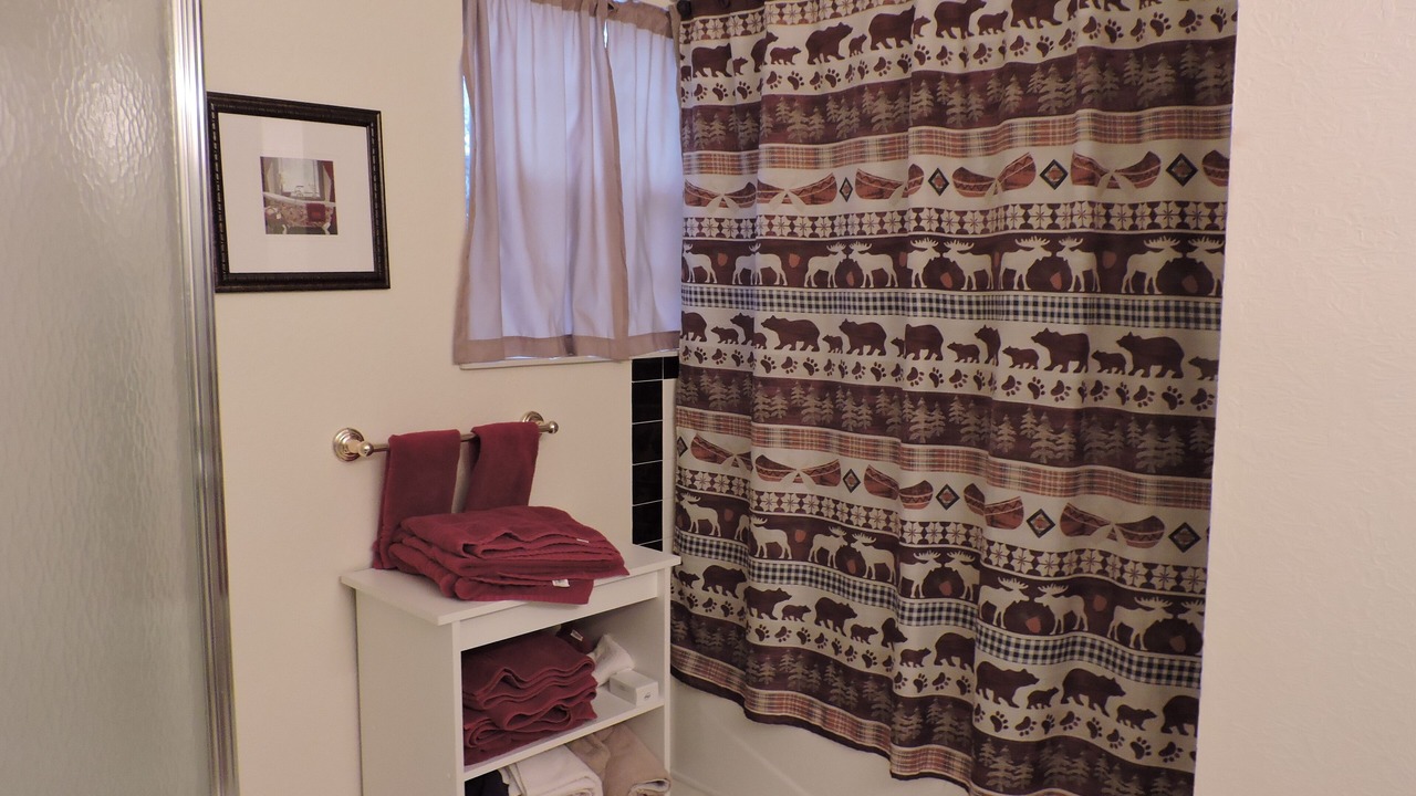 Photo of Bathroom in Murphy