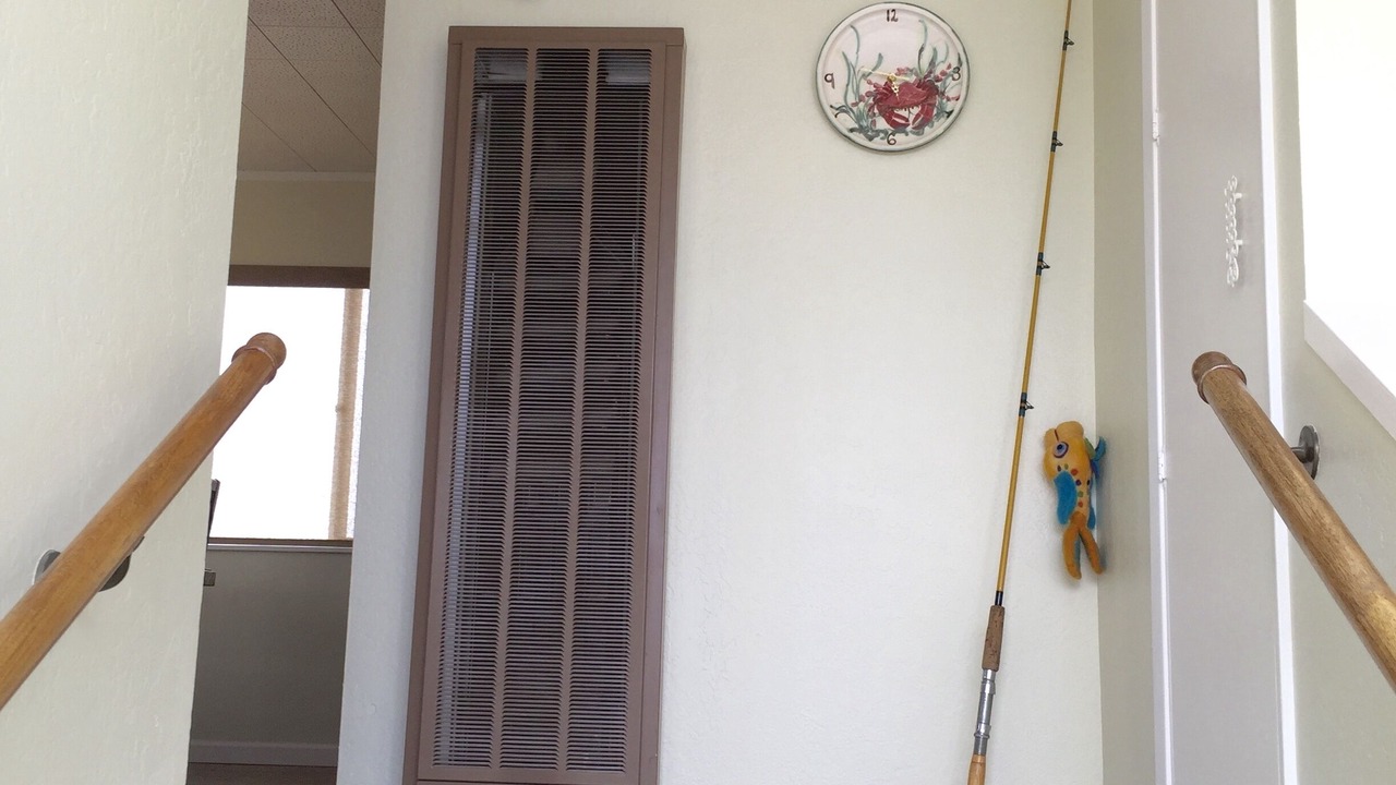 Photo of Others in Dillon Beach