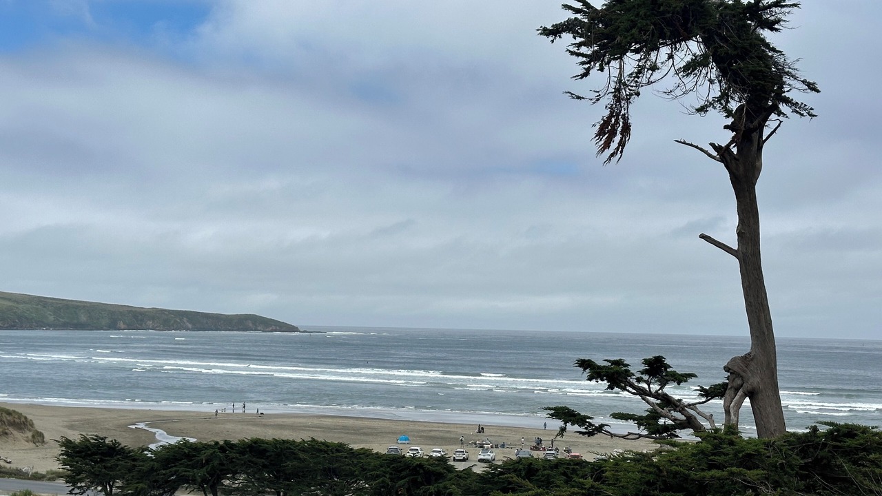 Photo of Others in Dillon Beach