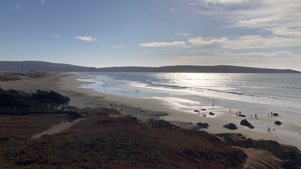 Photo of Others in Dillon Beach