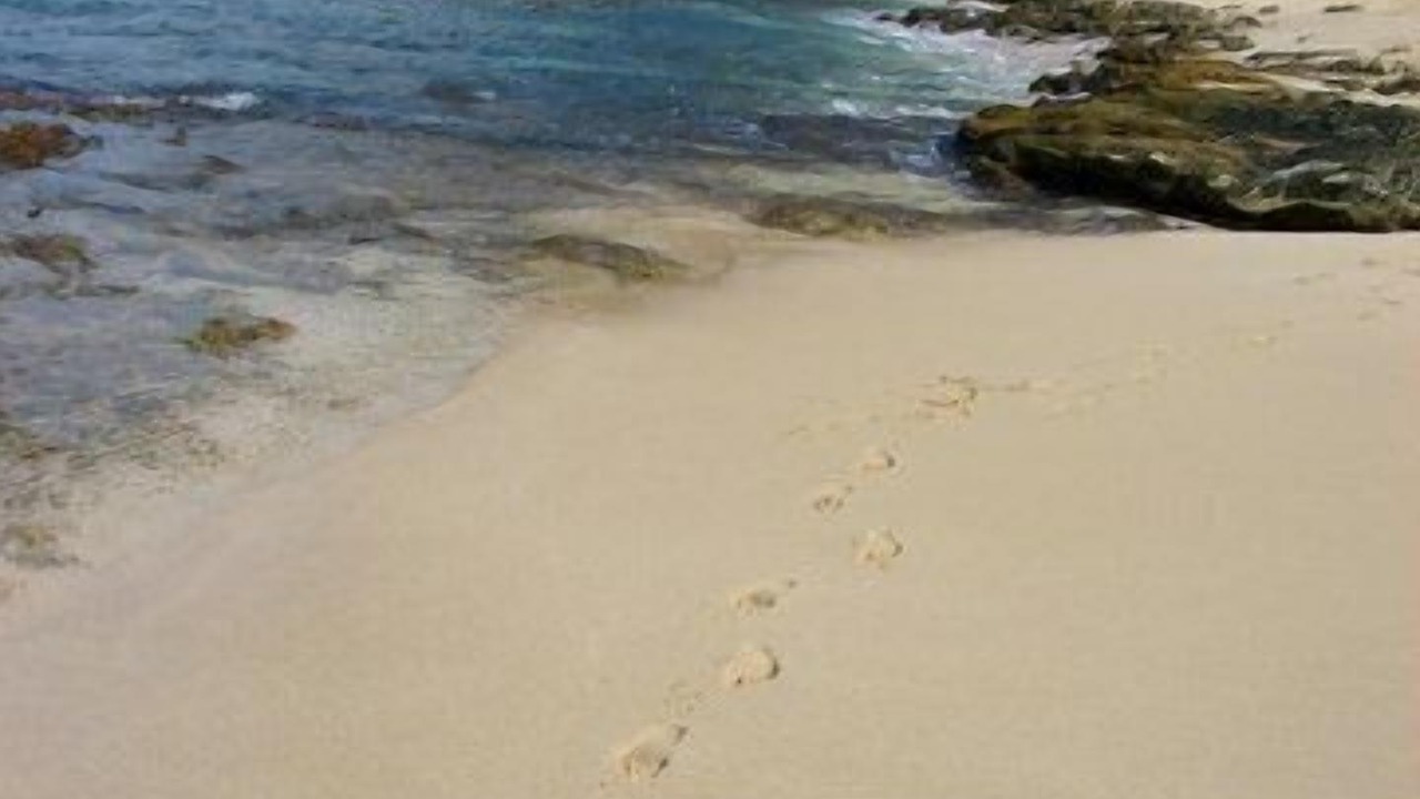 Photo of Others in Makaha