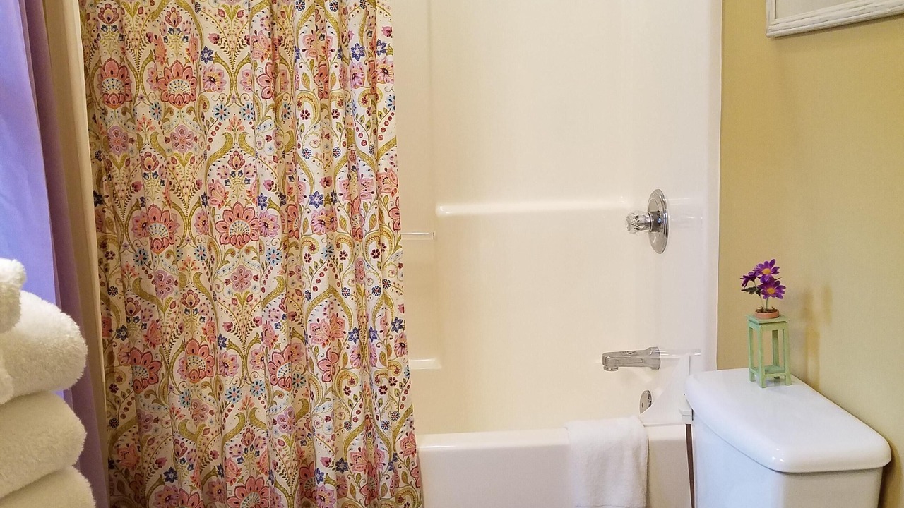 Photo of Bathroom in Pigeon Forge