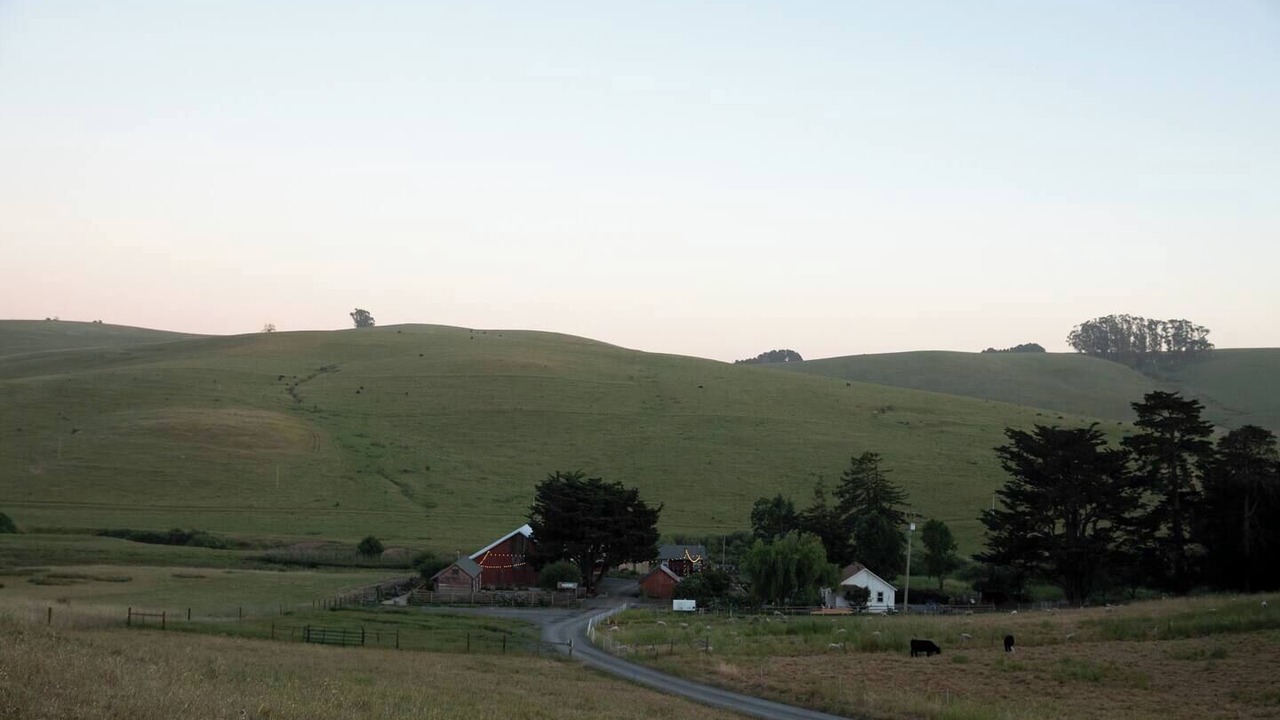 Photo of Others in Petaluma