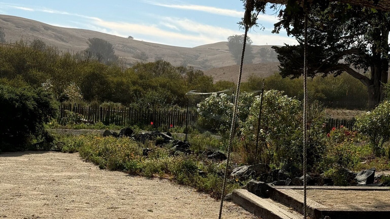 Photo of Others in Petaluma