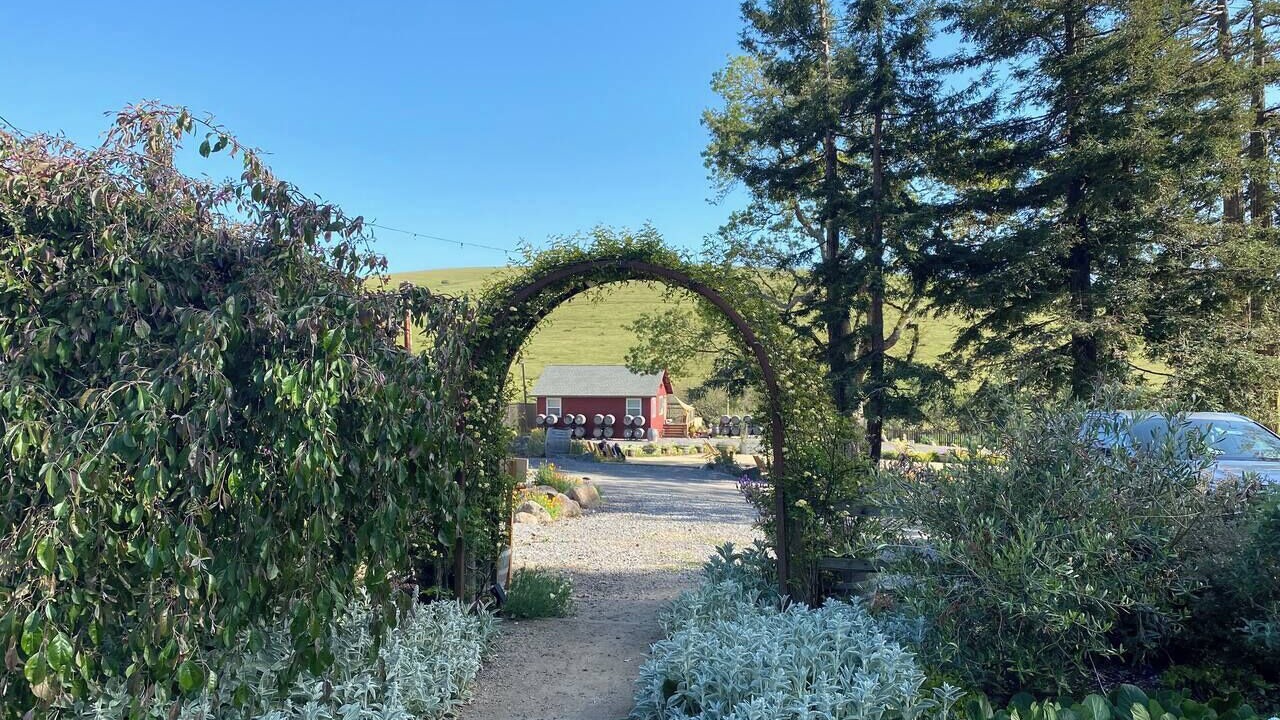 Photo of Outdoor in Petaluma