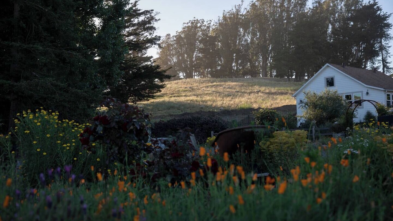 Photo of Outdoor in Petaluma