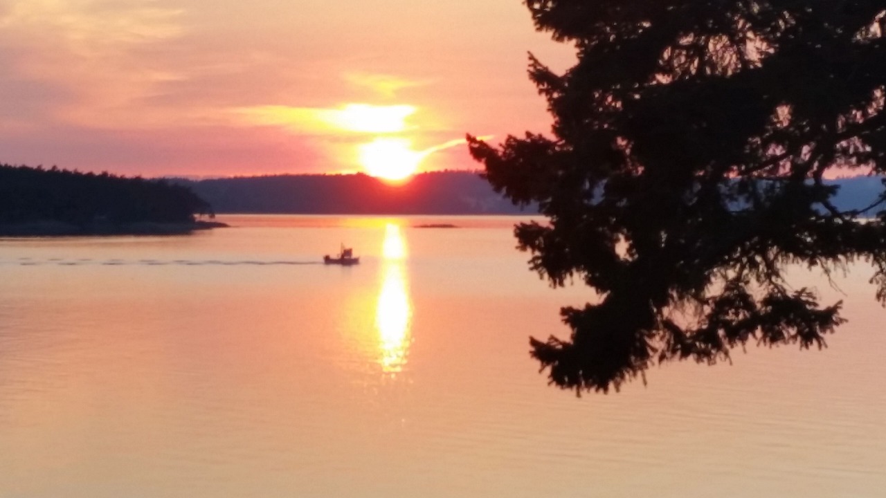 Photo of Others in Lopez Island