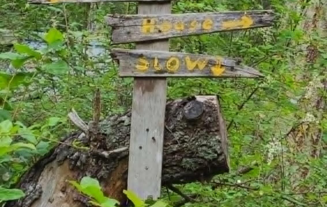 Photo of Others in Lopez Island