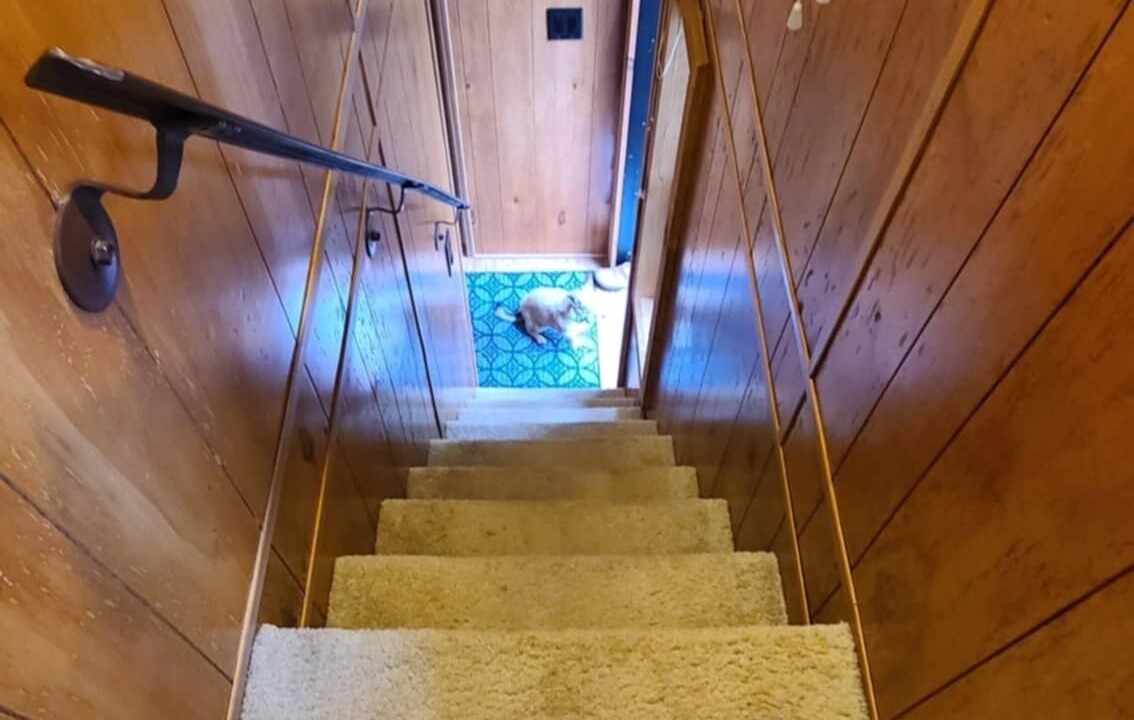 Photo of Others in Lopez Island