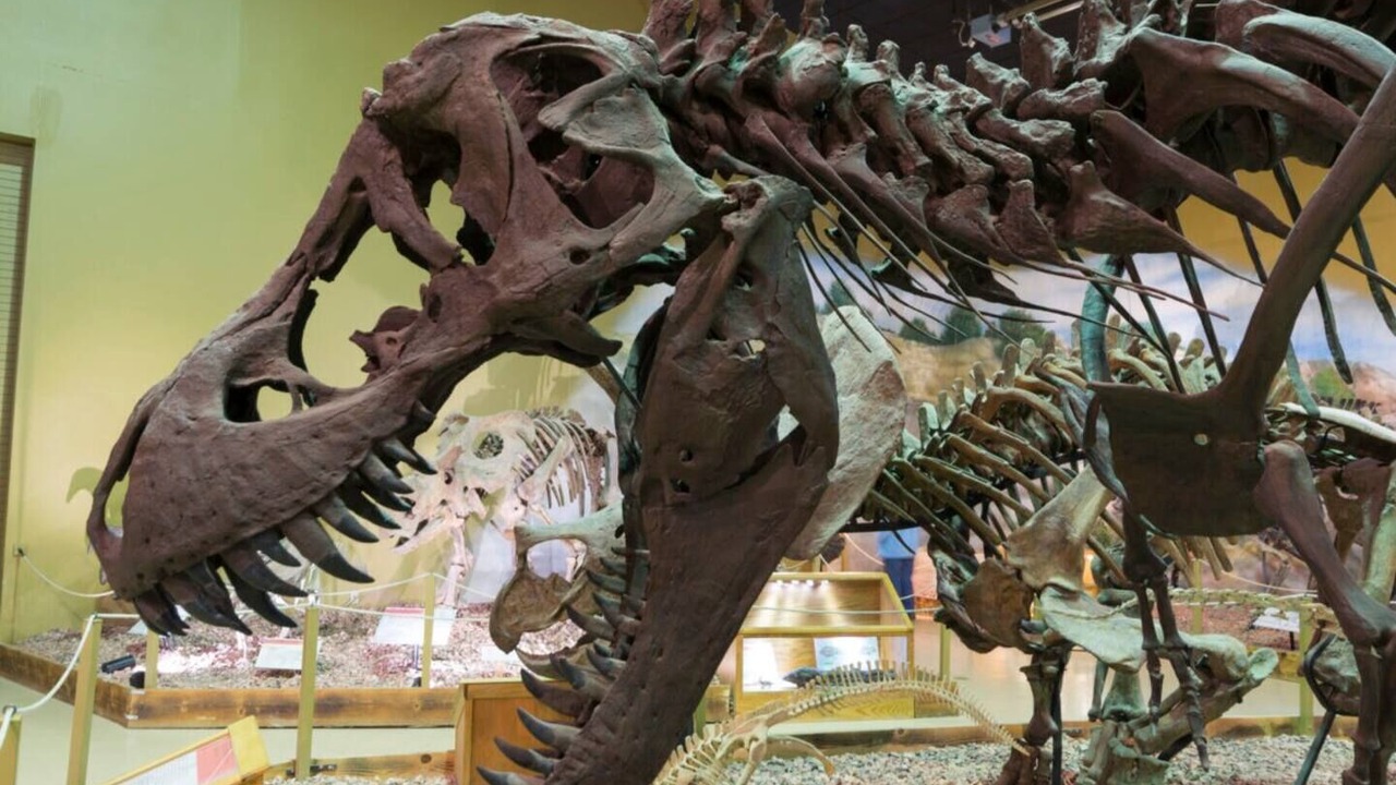 Photo of Others in Thermopolis