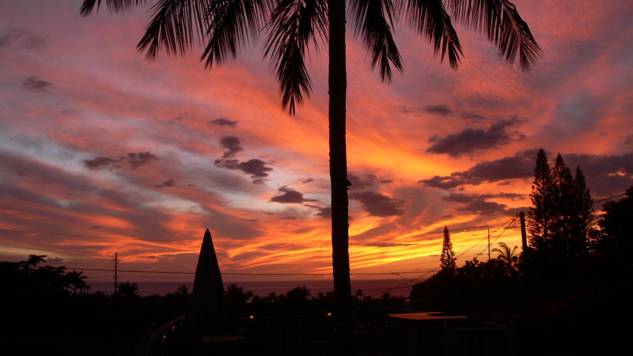 Photo of Others in Wailea