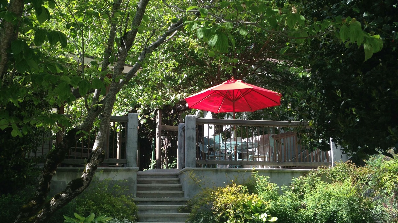 Photo of Outdoor in Grass Valley