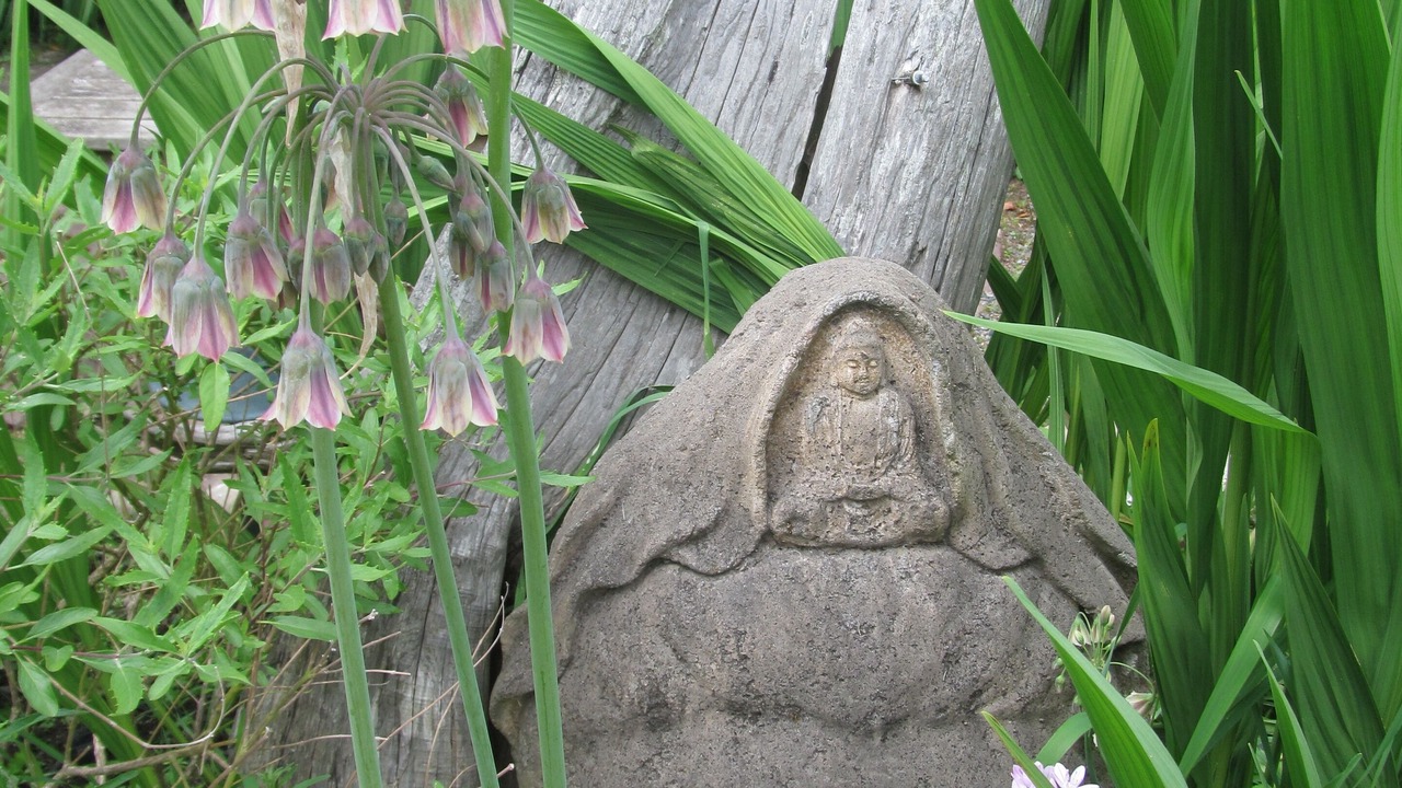 Photo of Others in Alki