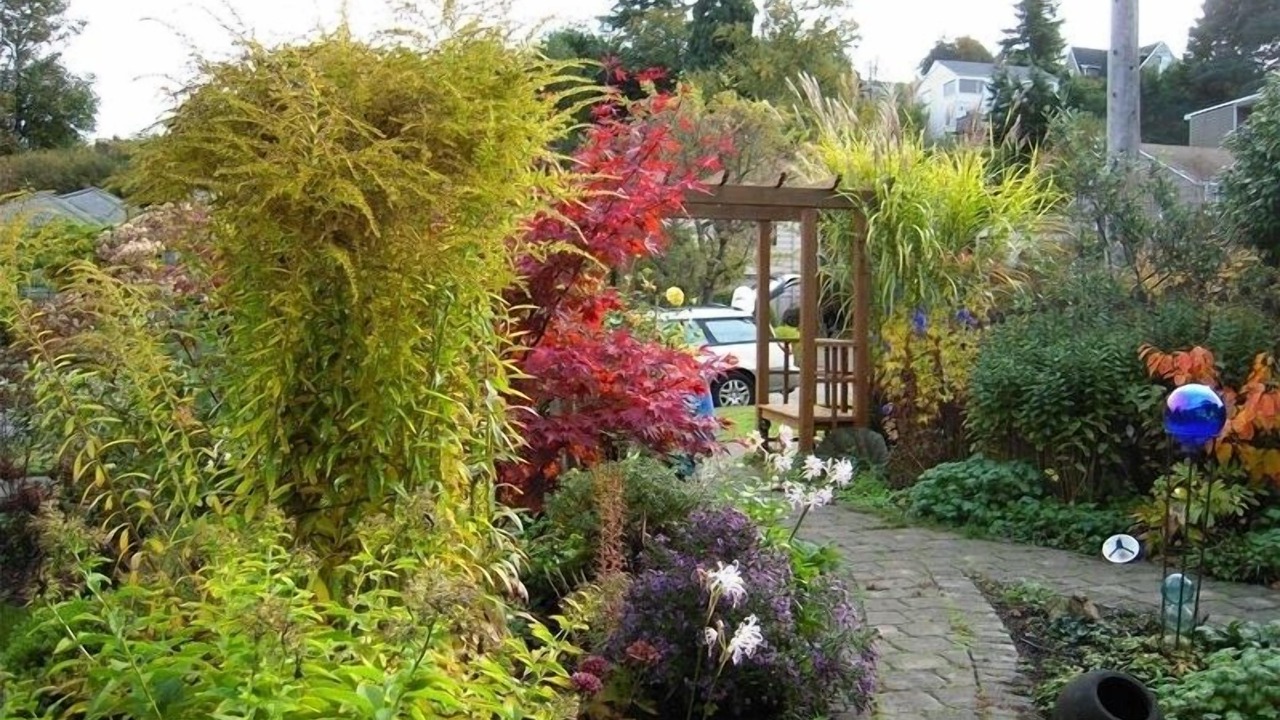 Photo of Outdoor in Alki