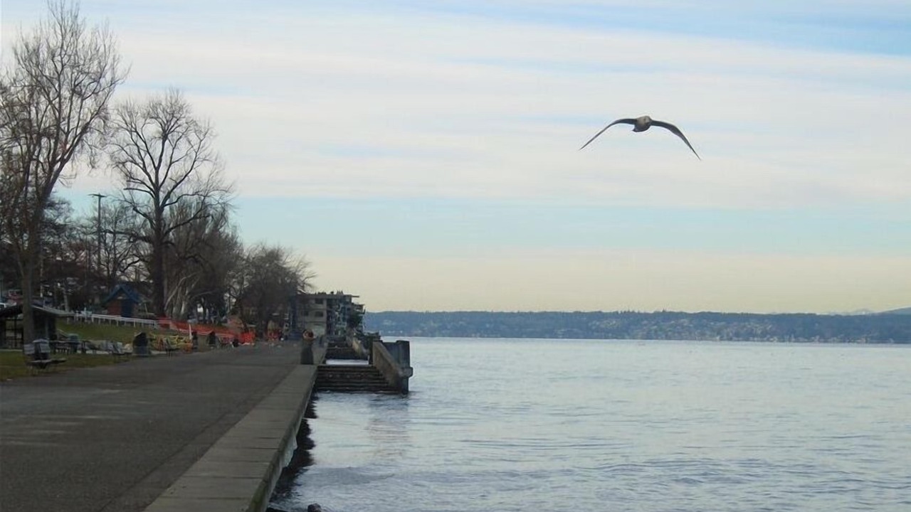 Photo of Others in Alki