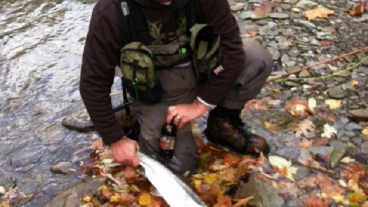 Photo of Outdoor in North East