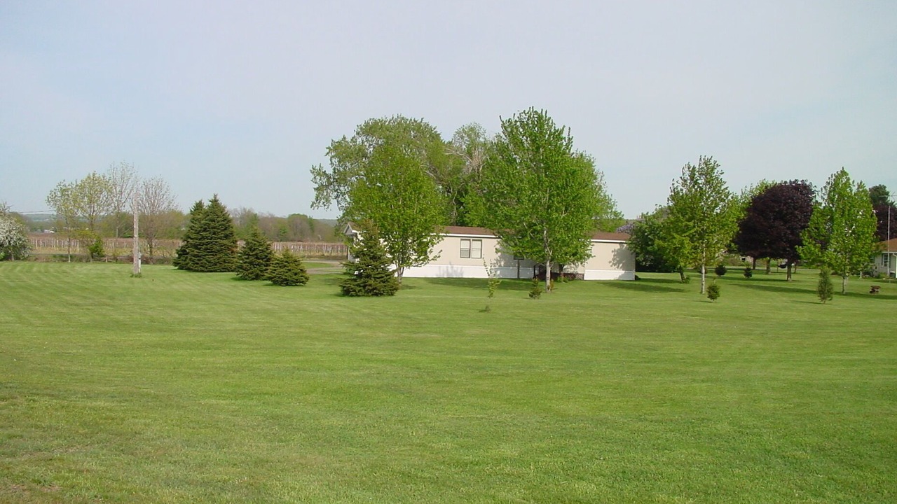 Photo of Outdoor in North East