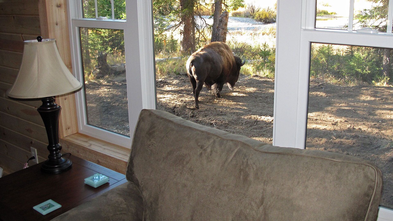 Photo of Others in Cooke City-Silver Gate