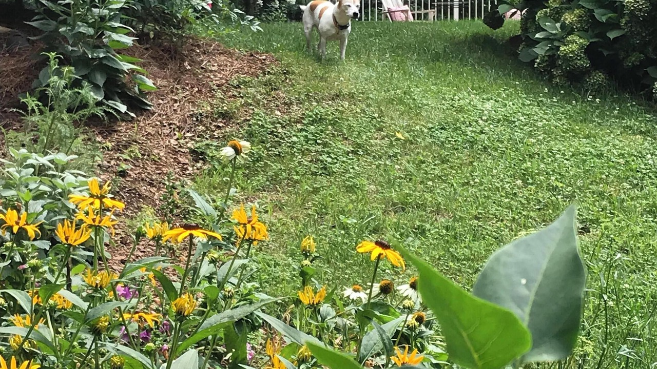 Photo of Outdoor in Lynn