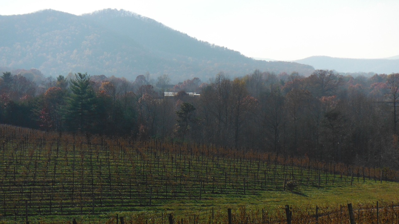 Photo of Others in Mount Airy