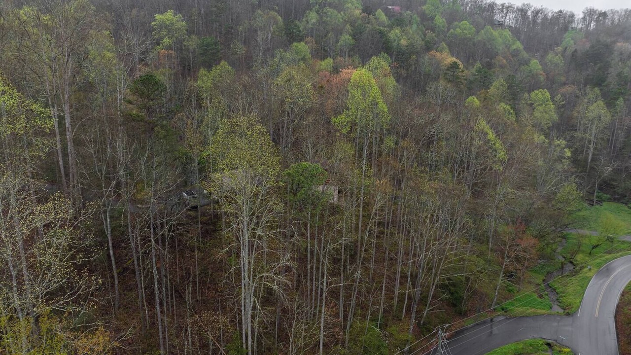 Photo of Outdoor in Gatlinburg