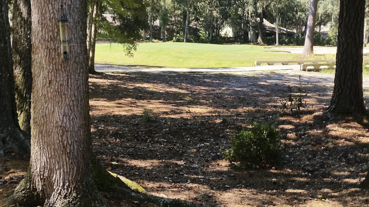 Photo of Outdoor in Moss Creek