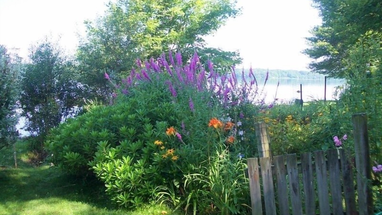 Photo of Outdoor in South Kingstown