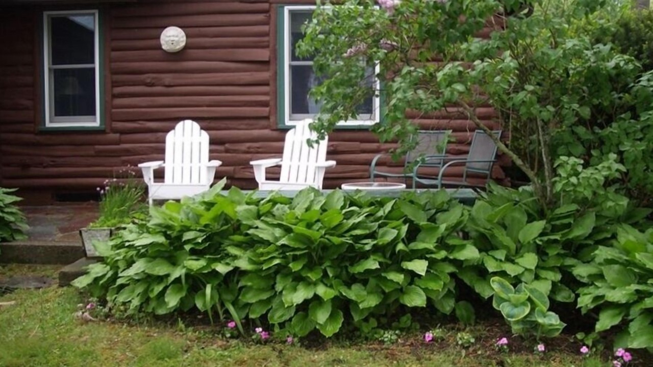 Photo of Outdoor in South Kingstown