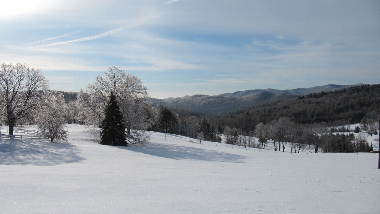 Photo of Others in Chester