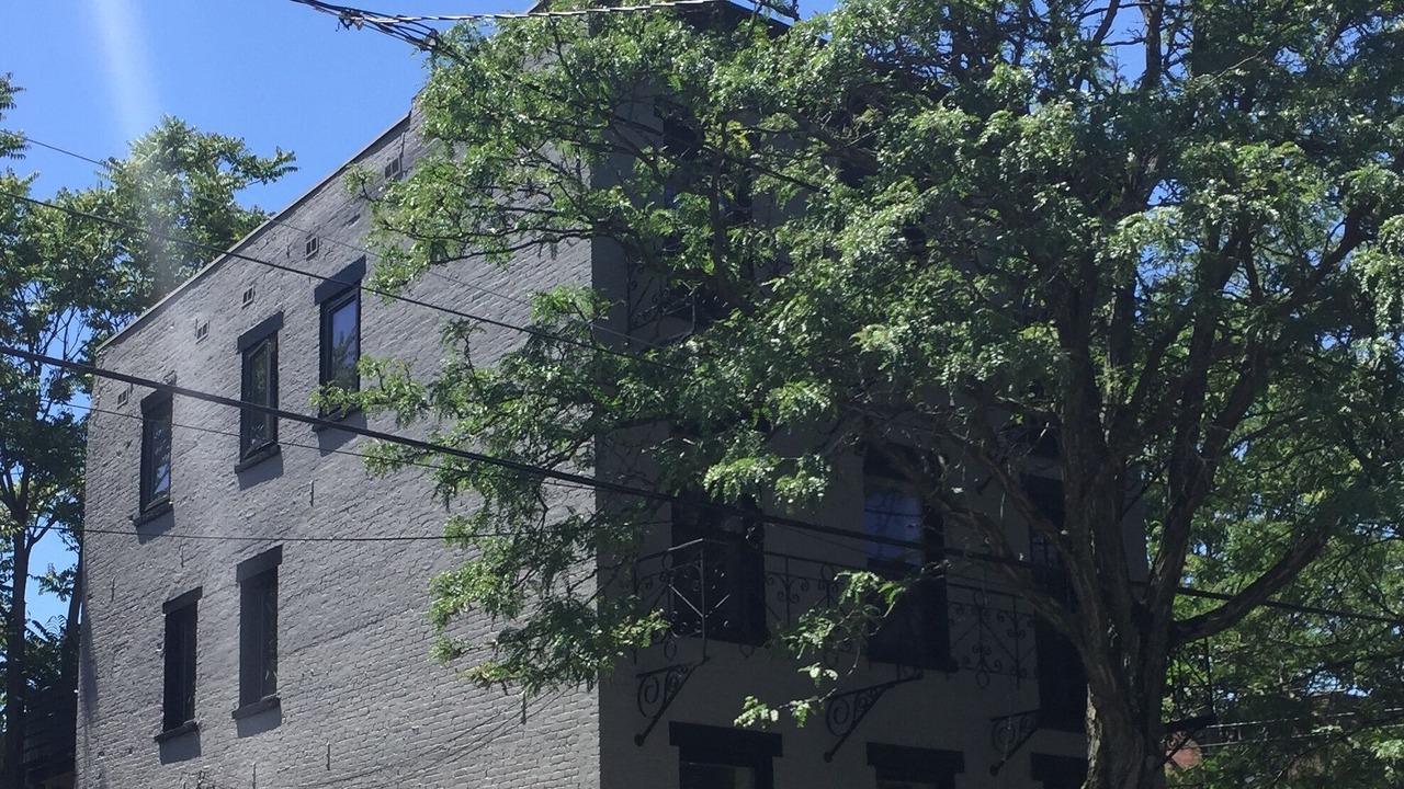 Photo of Outdoor in Troy