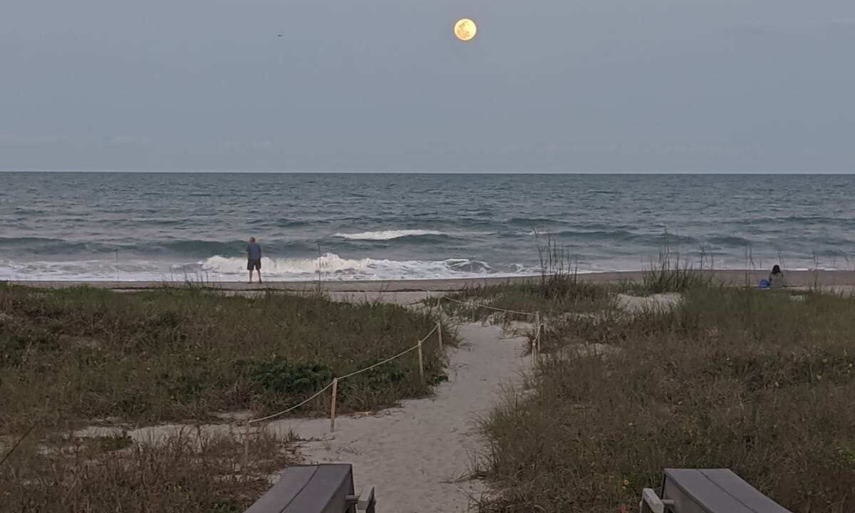 Photo of Others in Cocoa Beach
