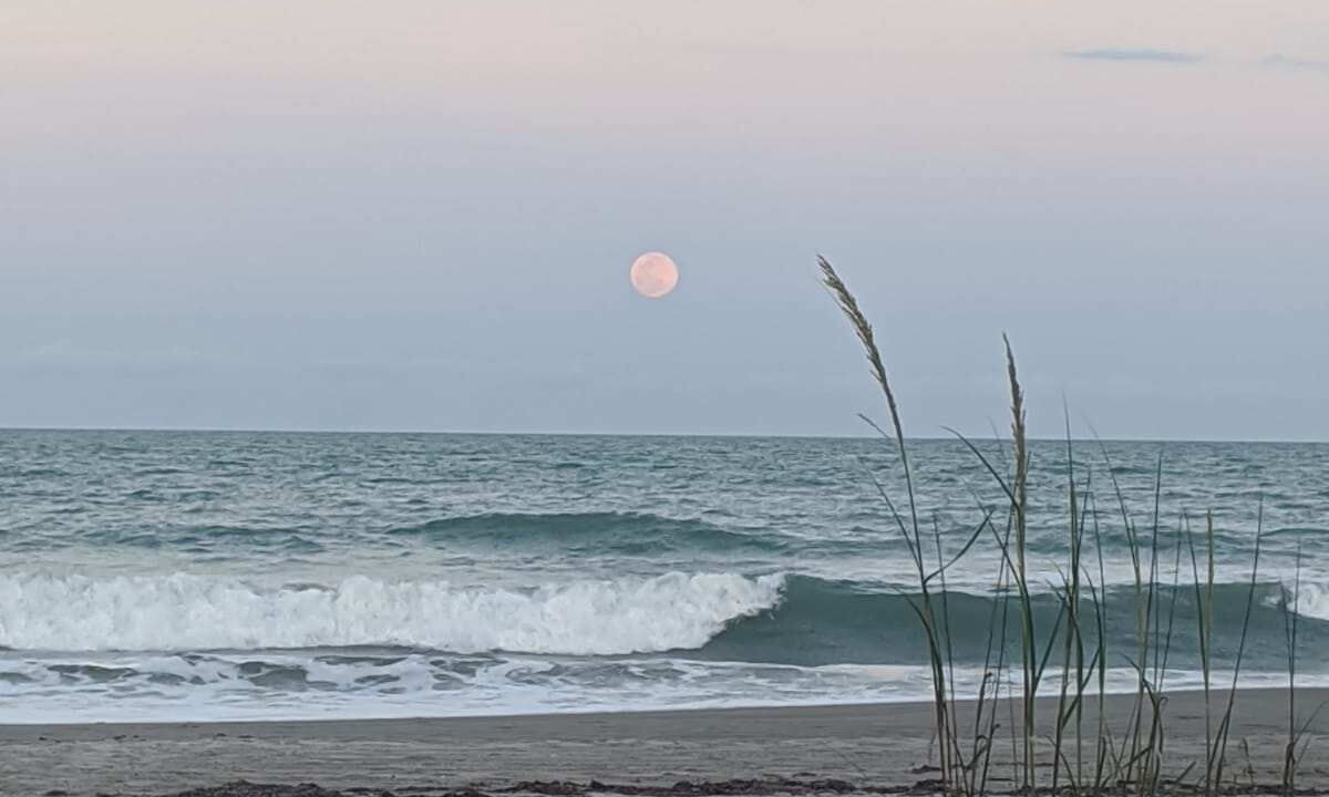 Photo of Others in Cocoa Beach