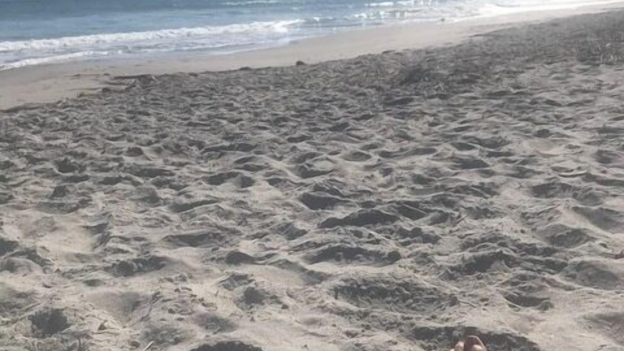 Photo of Others in Cocoa Beach