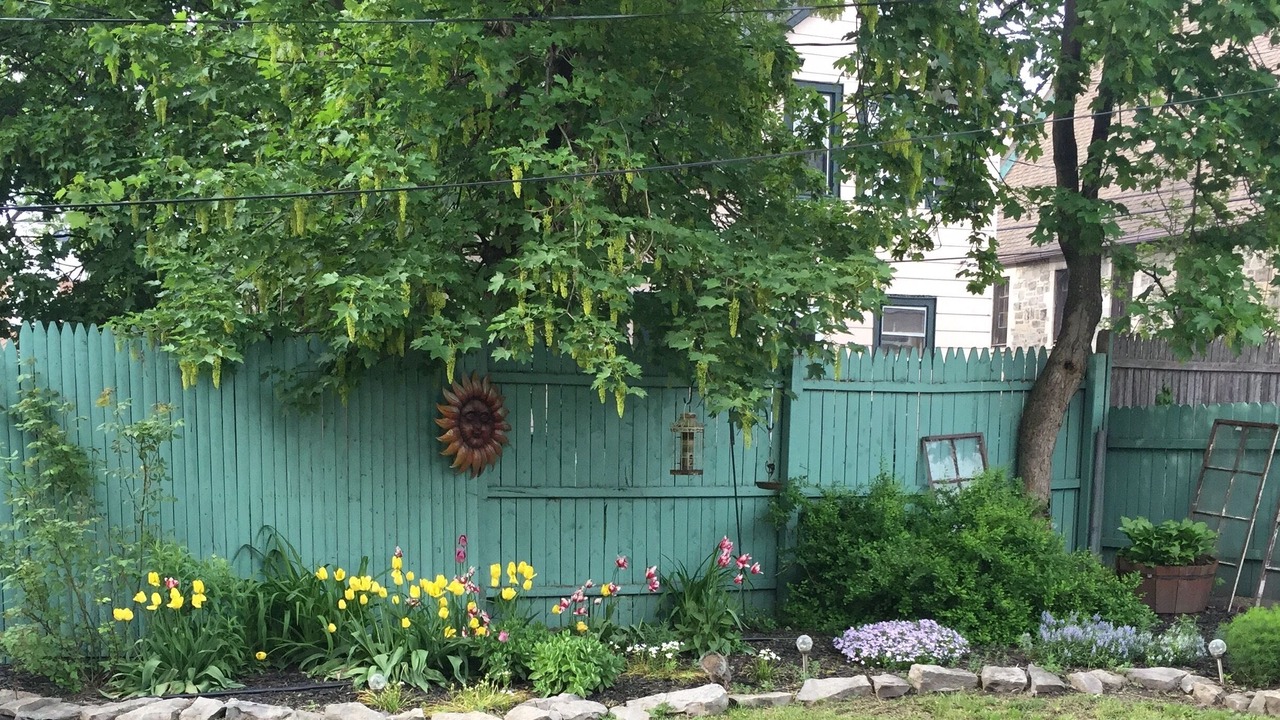 Photo of Outdoor in Downtown Niagara Falls