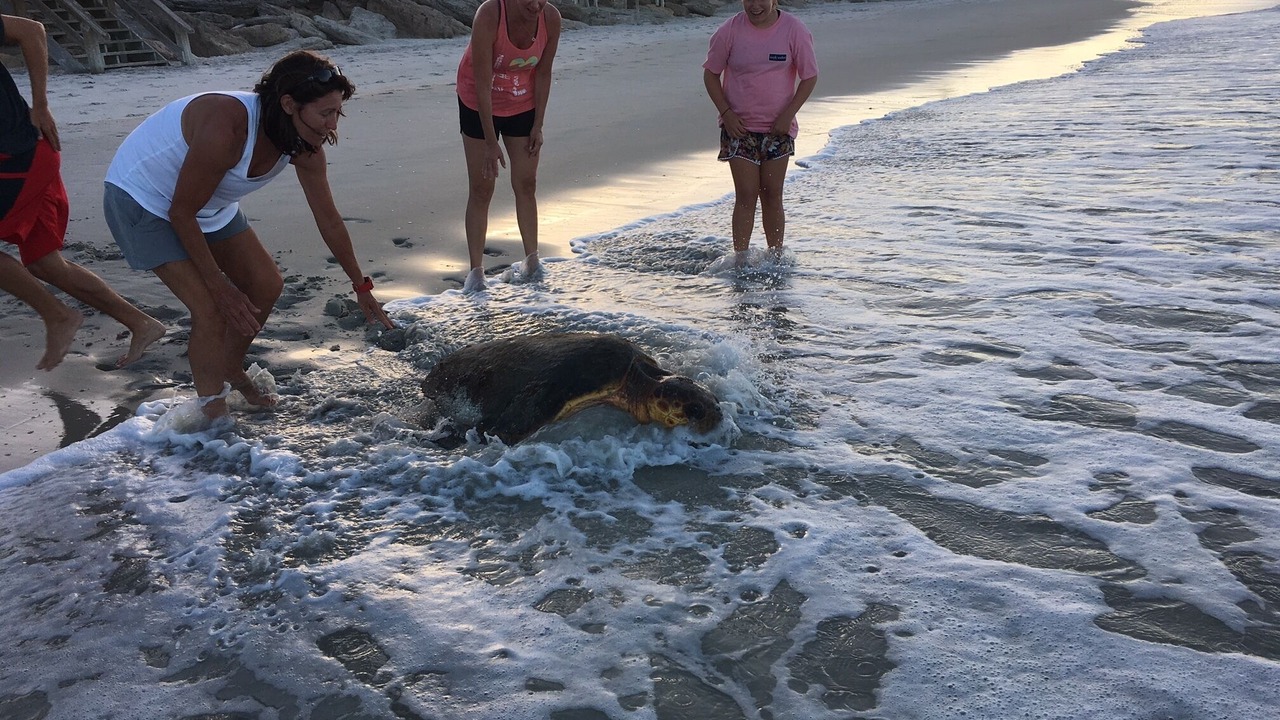 Photo of Others in Bethune Beach