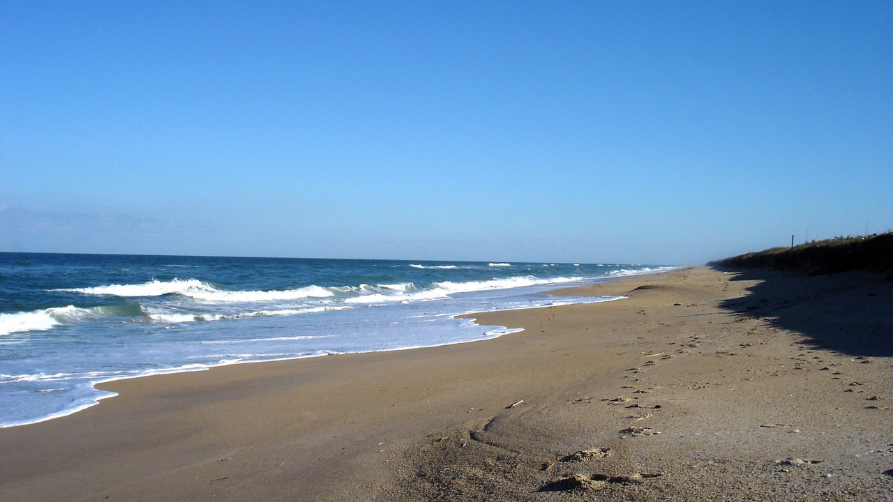Photo of Others in Bethune Beach