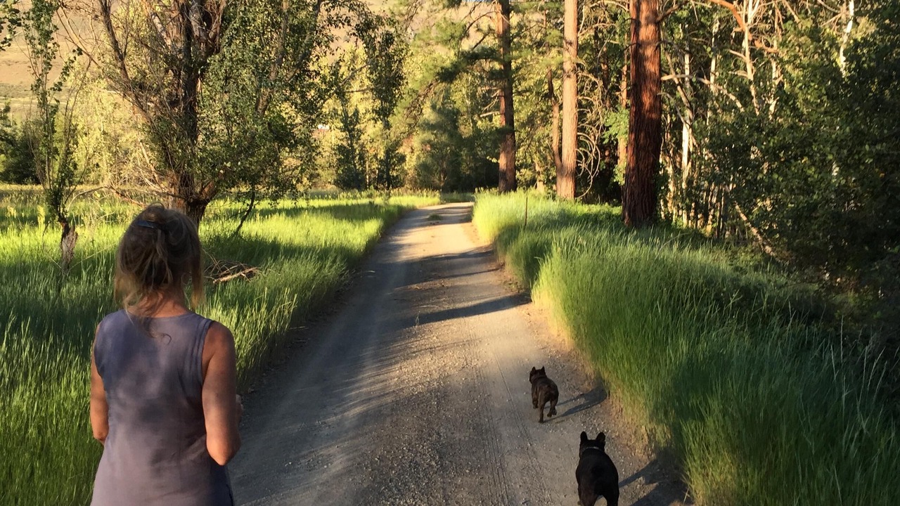 Photo of Others in Methow Valley