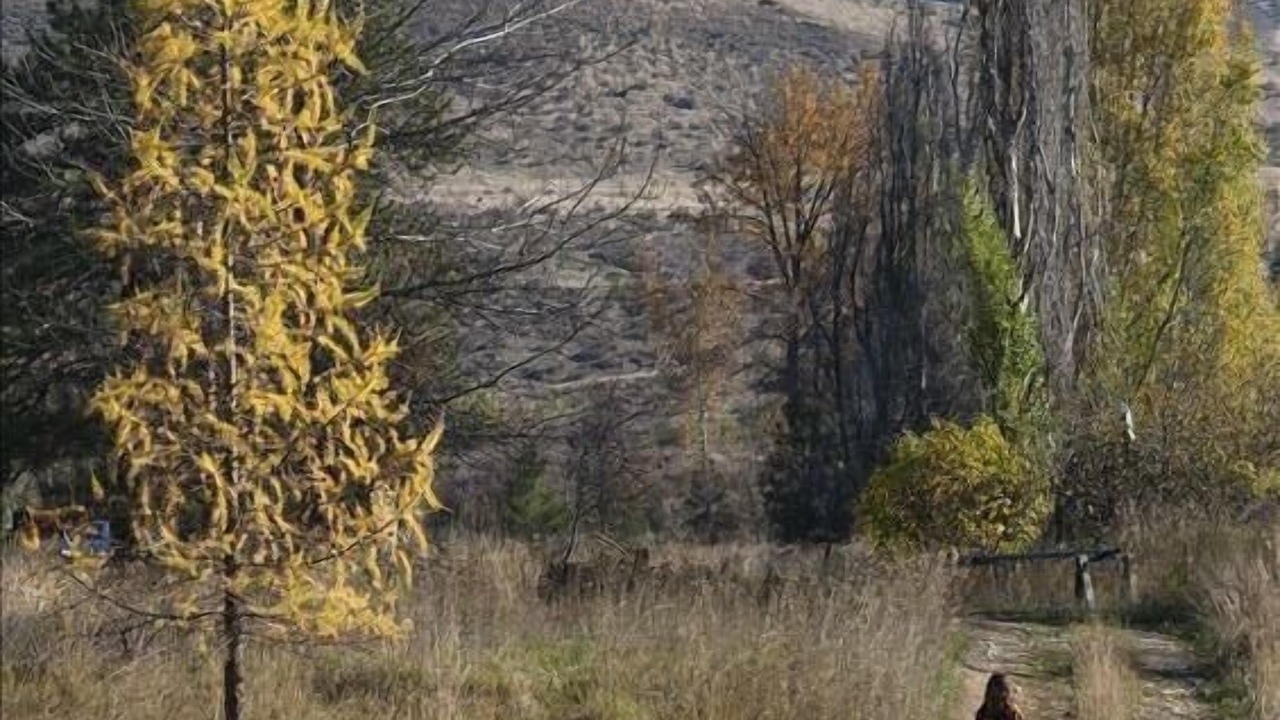 Photo of Others in Methow Valley