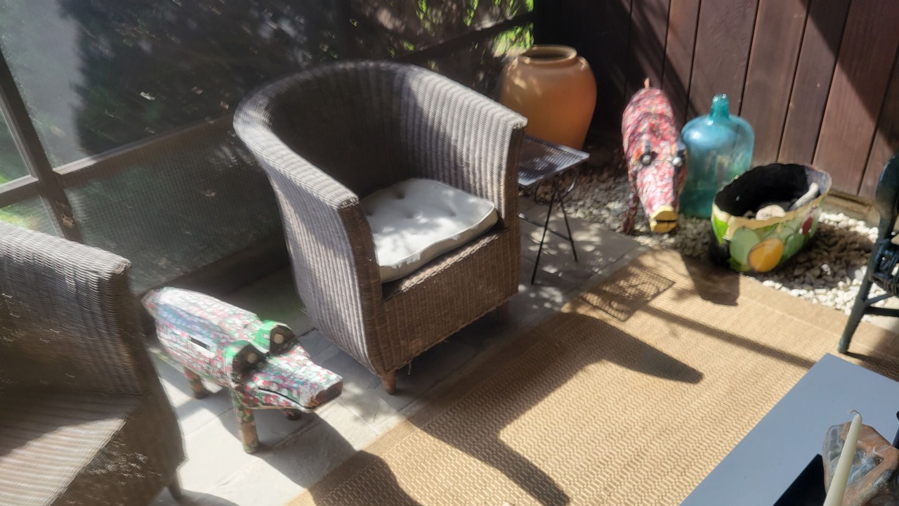 Photo of Outdoor in Homer