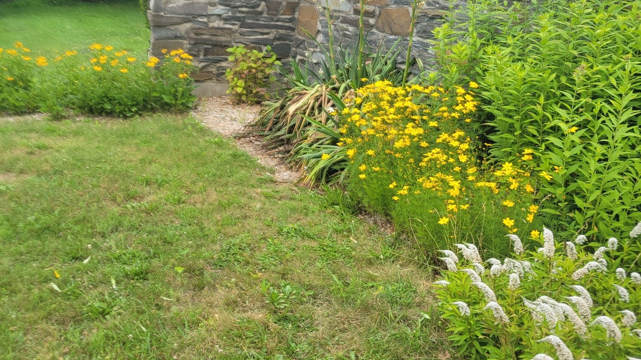 Photo of Outdoor in Homer