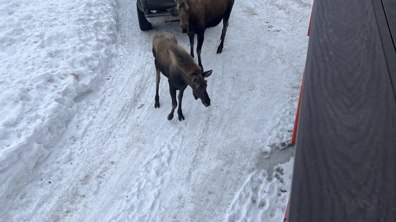 Photo of Others in Eagle River