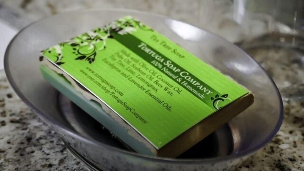 Photo of Others in Southwest Harbor