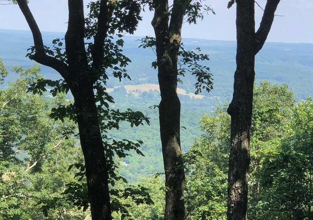 Photo of Outdoor in Mentone